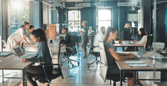 team working in the office